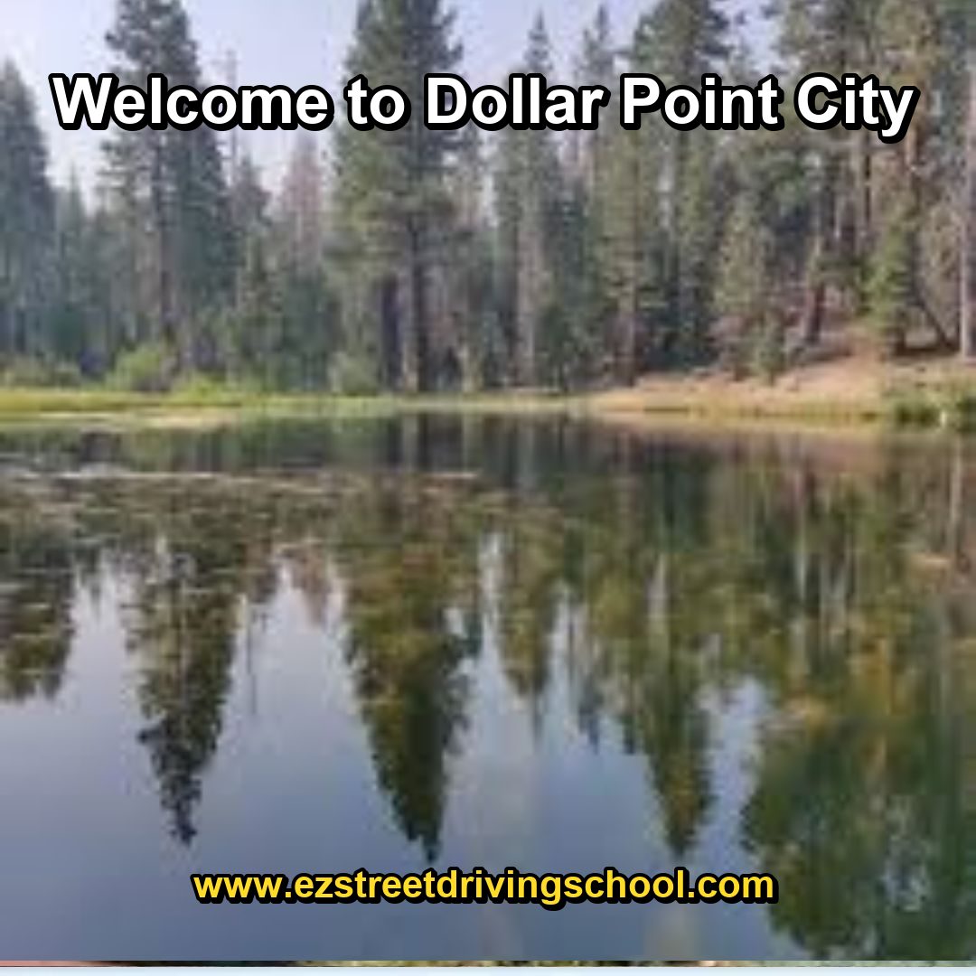 Driving Lessons in Dollar Point